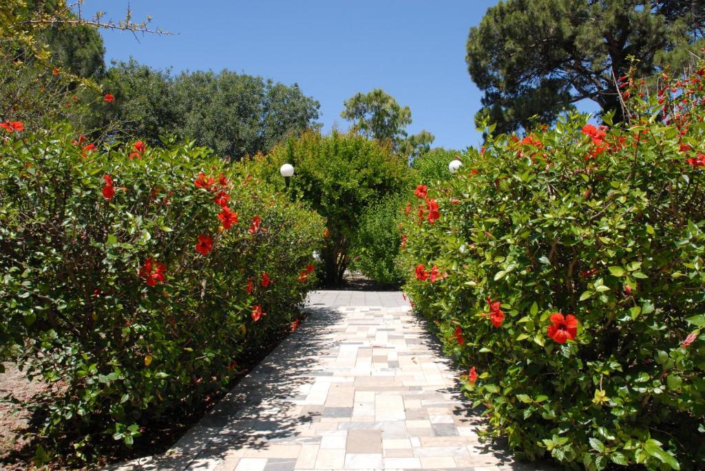 Niki Hotel Apartments Lalyssos Eksteriør billede