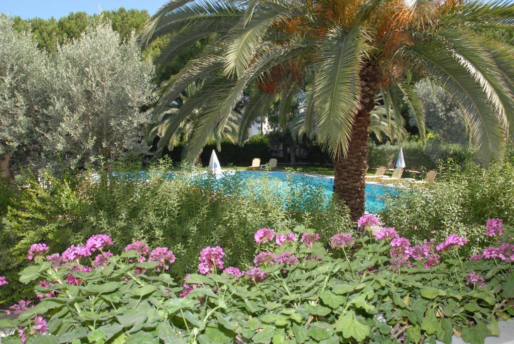 Niki Hotel Apartments Lalyssos Eksteriør billede